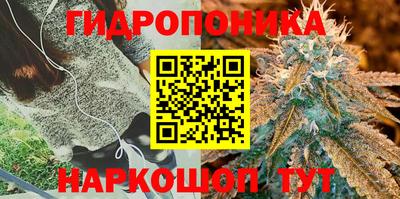 spice Тара