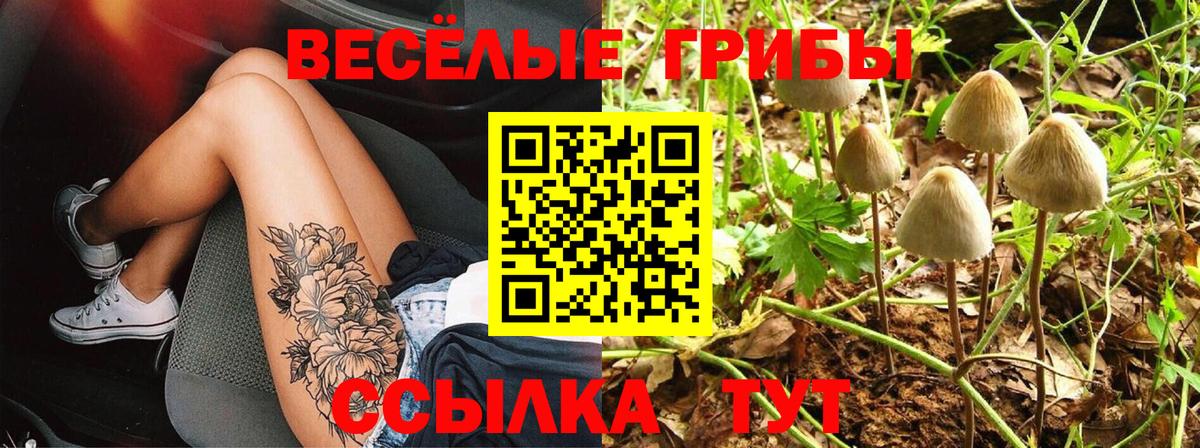 Псилоцибиновые грибы Magic Shrooms Удомля