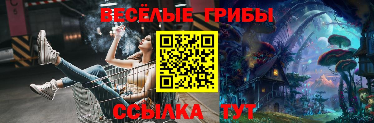 Удомля  Псилоцибиновые грибы Psilocybe  Псилоцибиновые грибы GOLDEN TEACHER  Вход с VPN 